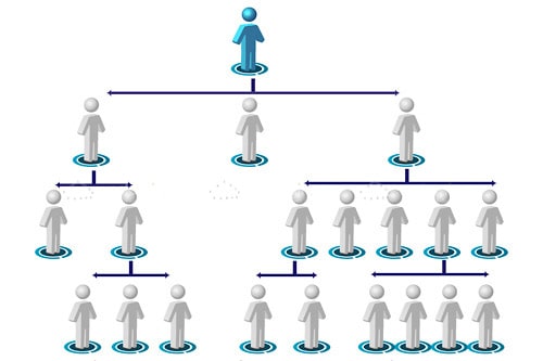 Organisation Hierarchy Tree